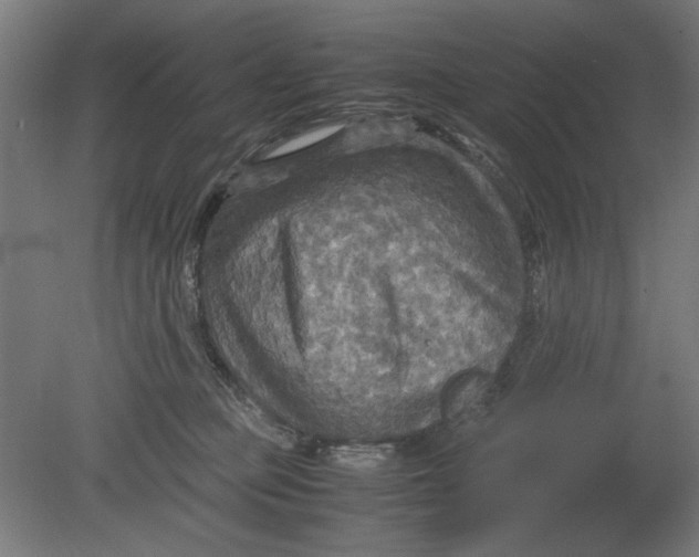 X0000080660373200701050949