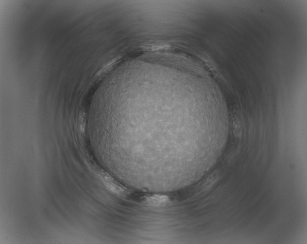 X0000080660374200701050949