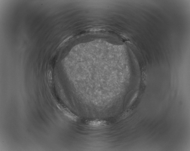 X0000080660375200701050949