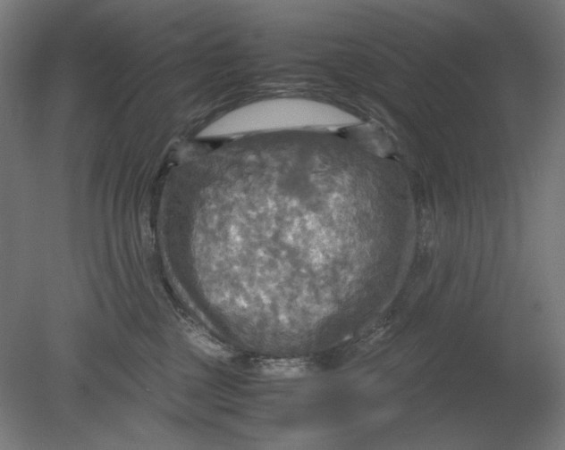 X0000080660377200701050949