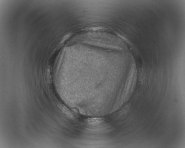 X0000080660378200701050949