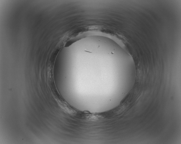 X0000080660379200701050949