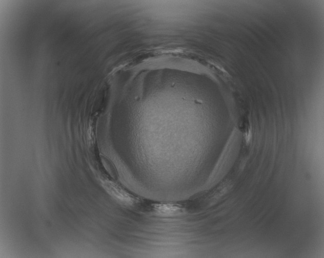 X0000080660380200701050949