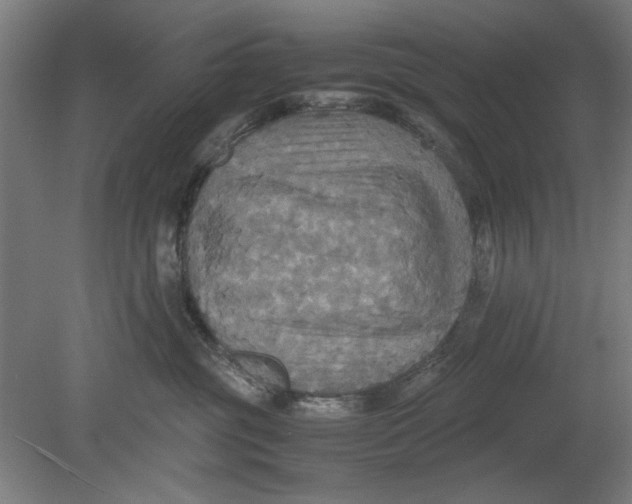 X0000080660381200701050949