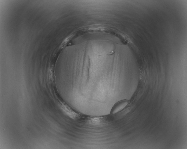 X0000080660382200701050949