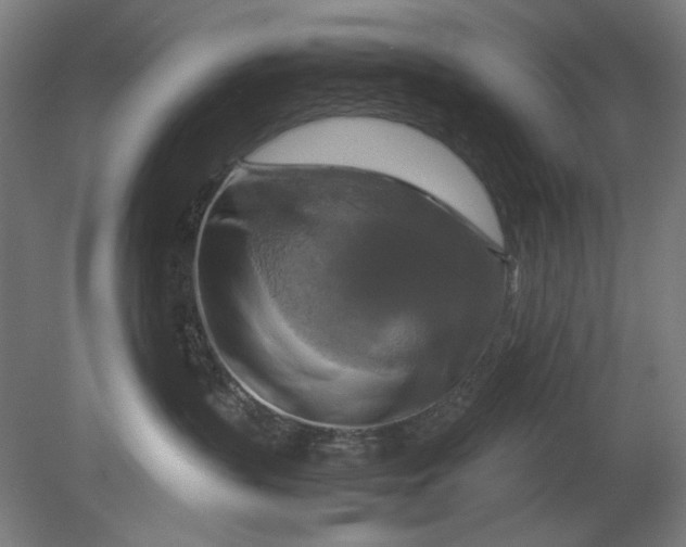 X0000080660383200701050949