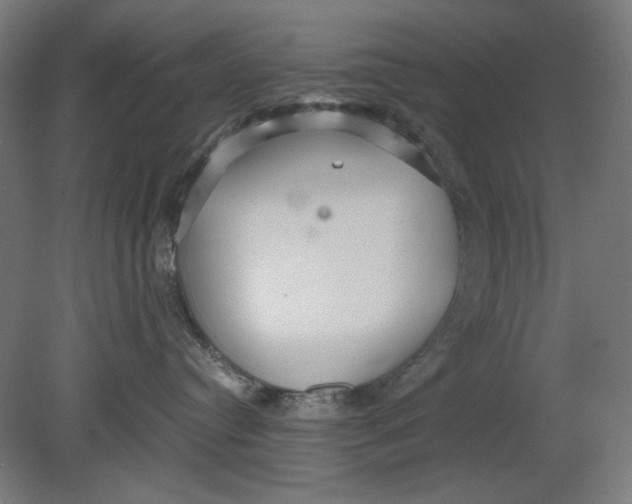 X0000080660384200701050949