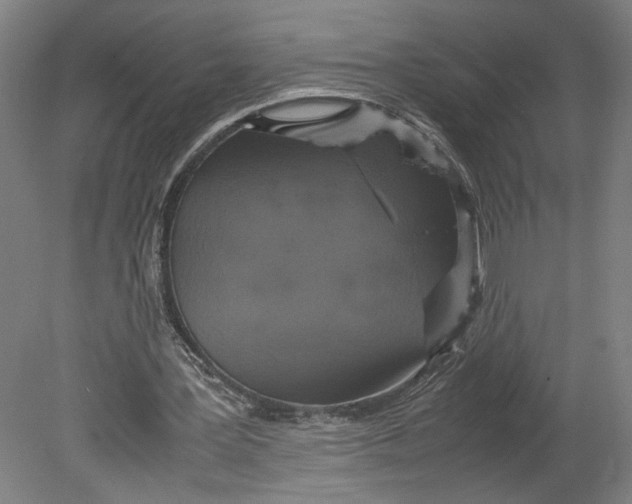 X0000080660387200701050948