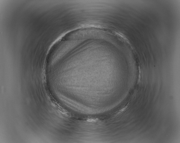 X0000080660388200701050948