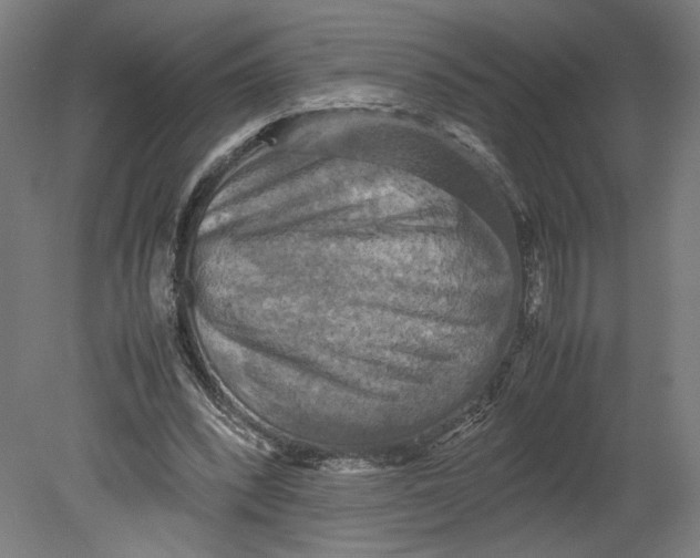 X0000080660392200701050948