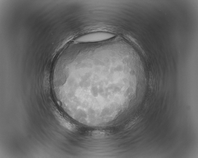 X0000080660394200701050948