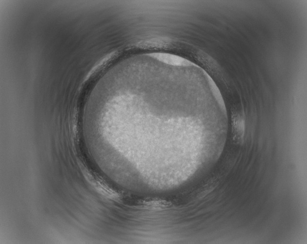 X0000080660396200701050948