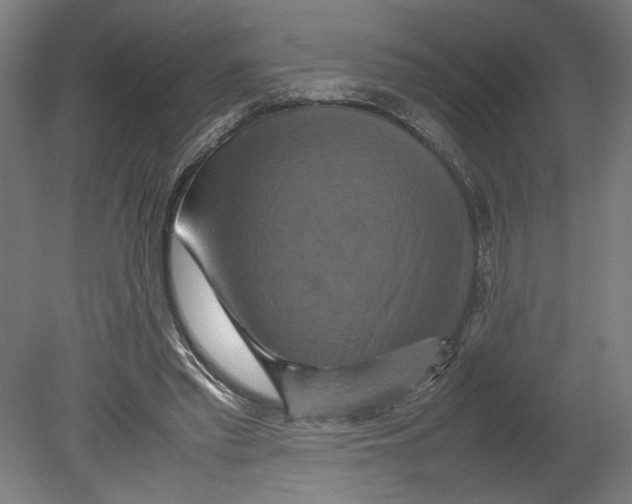 X0000080660397200701050948