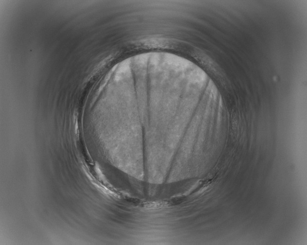 X0000080660398200701050948