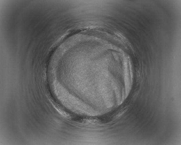 X0000080660401200701050948