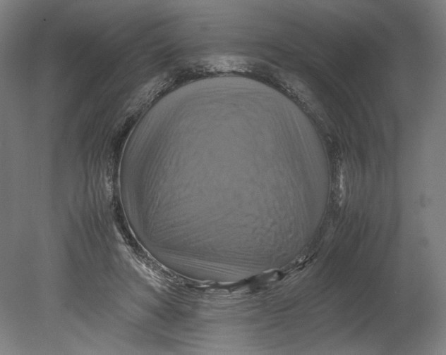 X0000080660402200701050948