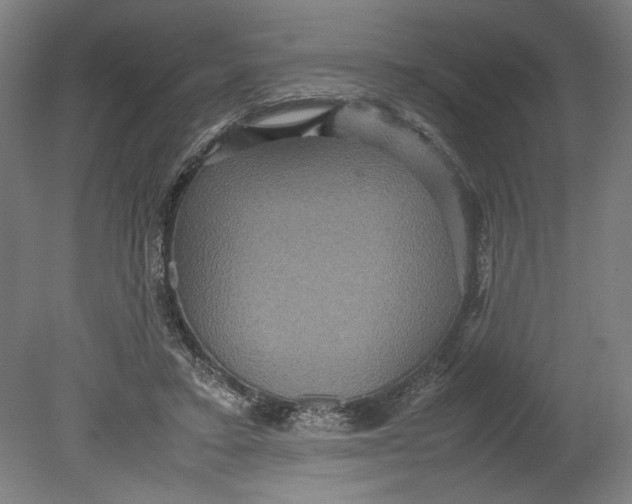 X0000080660403200701050948