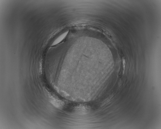 X0000080660404200701050948