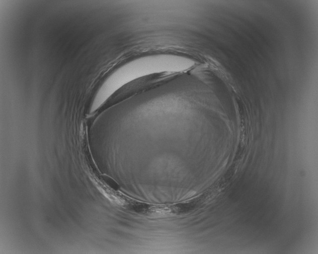 X0000080660405200701050948