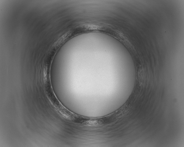 X0000080660406200701050948