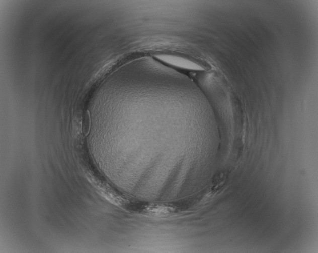 X0000080660407200701050948