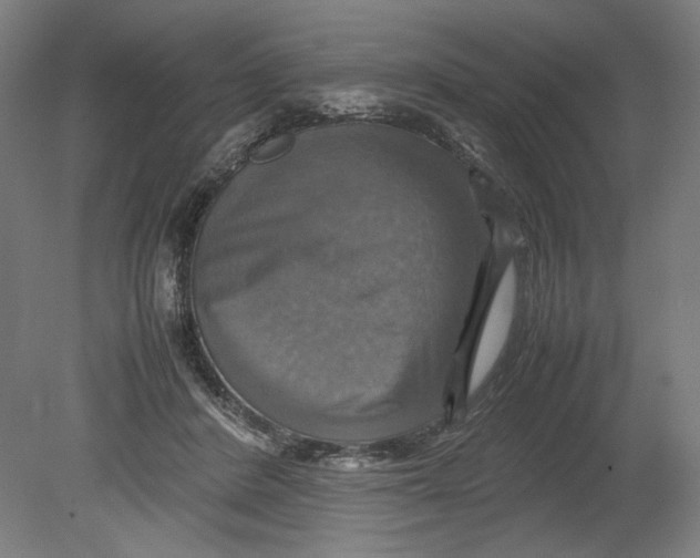 X0000080660408200701050948