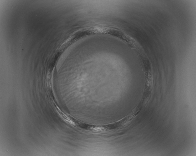 X0000080660409200701050948