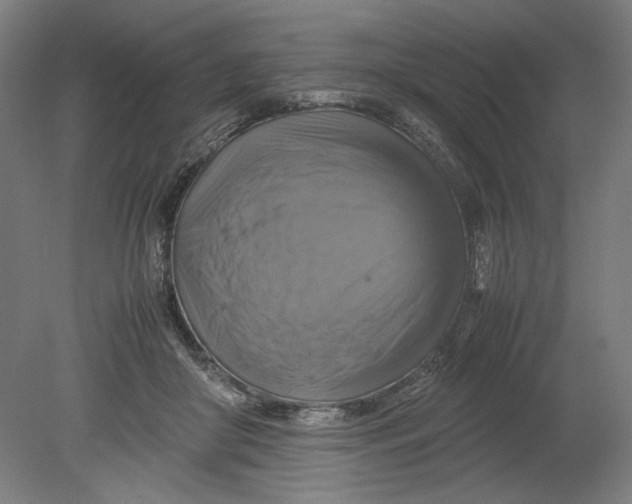 X0000080660410200701050948