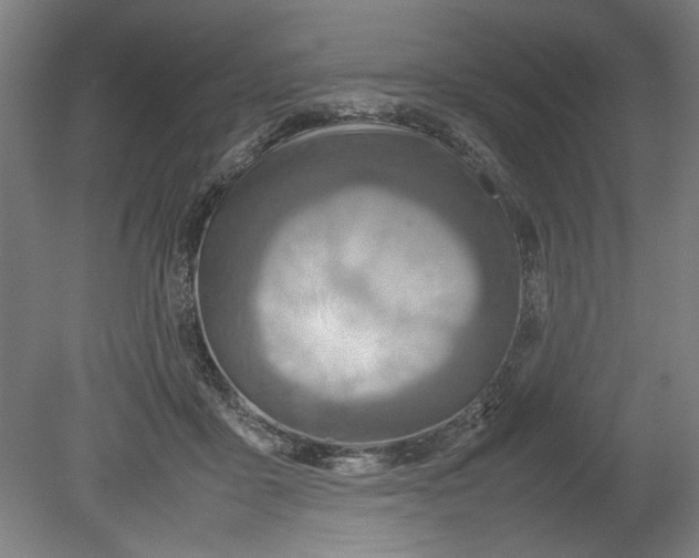 X0000080660411200701050948