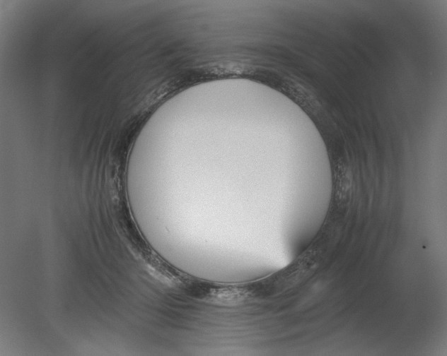 X0000080660414200701050948