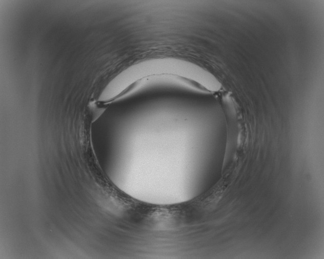 X0000080660416200701050948