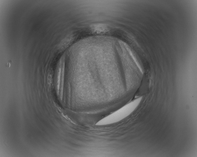 X0000080660417200701050948