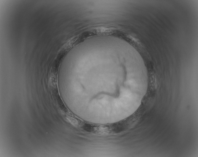 X0000080660419200701050948