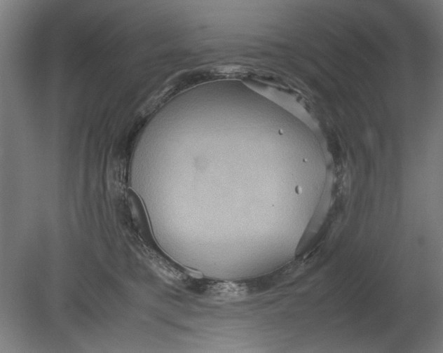 X0000080660421200701050947