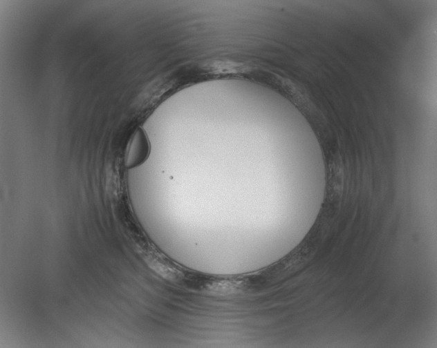 X0000080660422200701050947