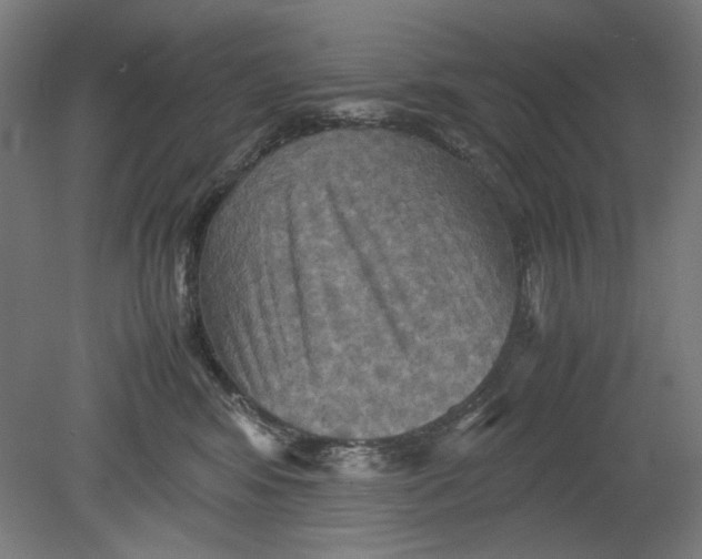 X0000080660424200701050947