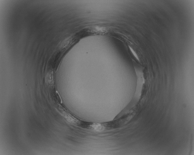 X0000080660425200701050947