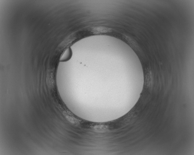 X0000080660426200701050947