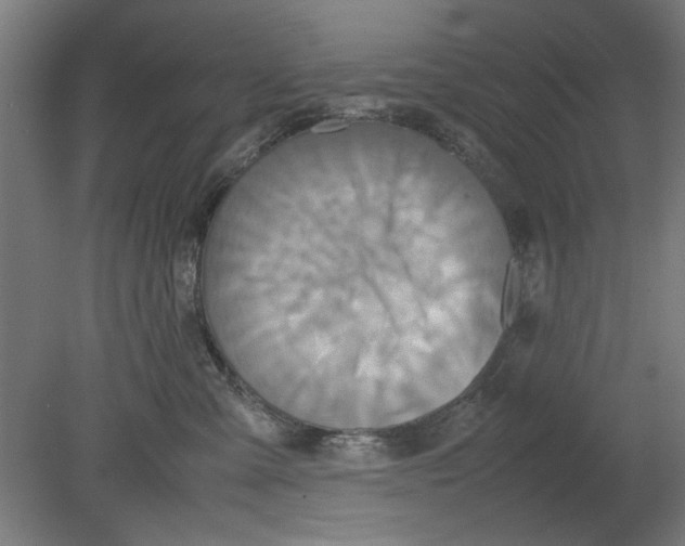 X0000080660427200701050947