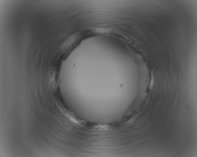 X0000080660428200701050947