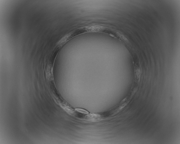 X0000080660429200701050947