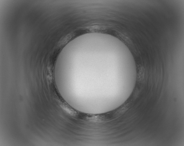 X0000080660430200701050947