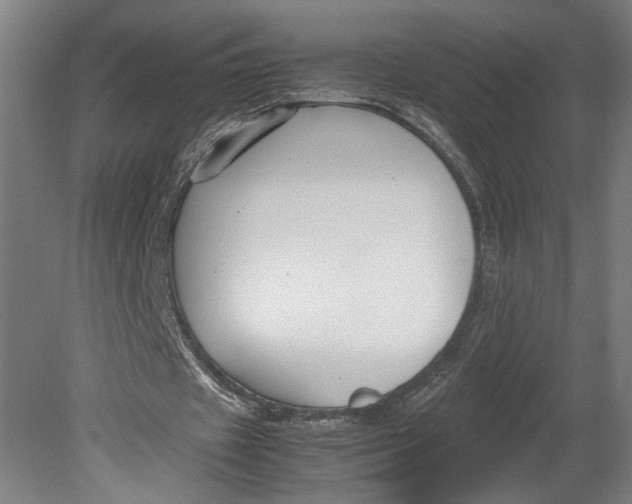 X0000080660433200701050946