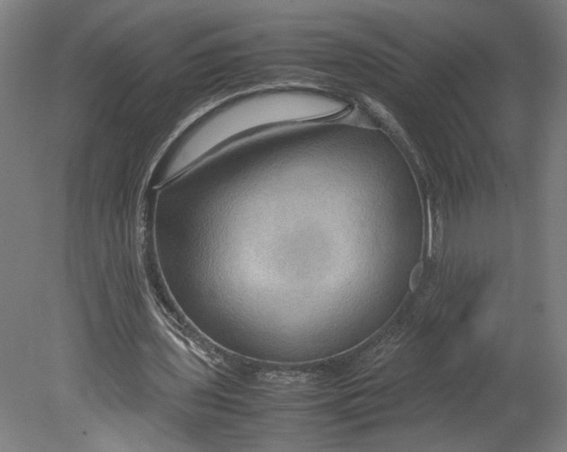 X0000080660435200701050947