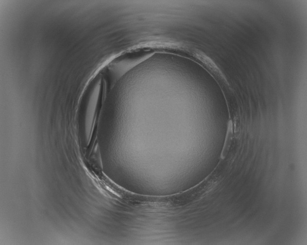 X0000080660436200701050947