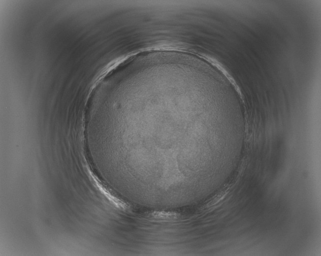 X0000080660437200701050947