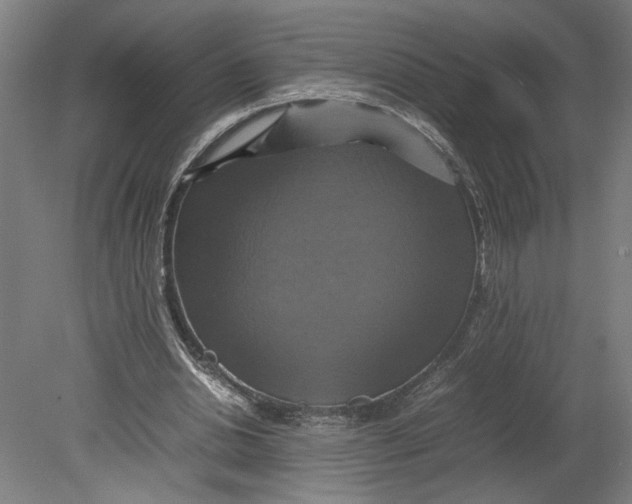 X0000080660438200701050947