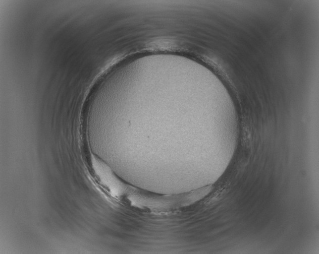 X0000080660439200701050947