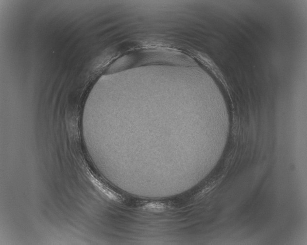 X0000080660441200701050947