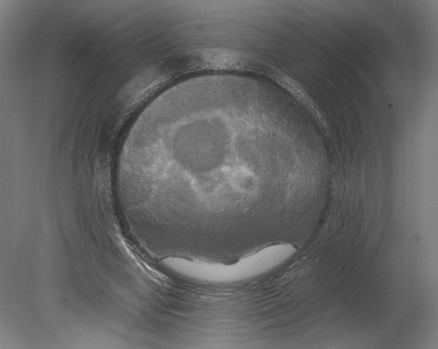 X0000080660442200701050947